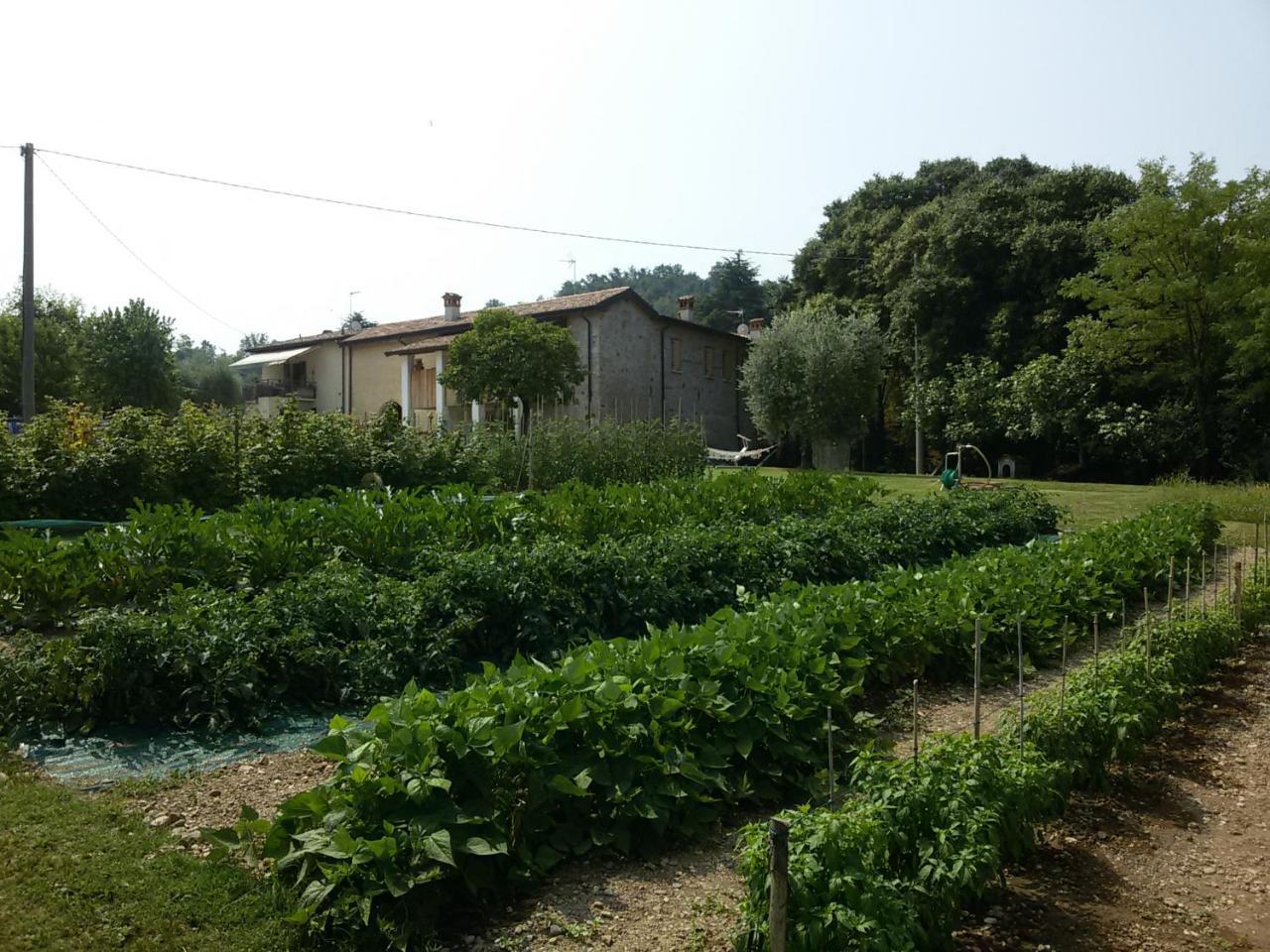 Agriturismo La Scala Vila Salò Exterior foto